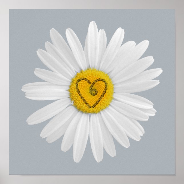 Daisy Flower Love Art Customize Background Poster (Front)