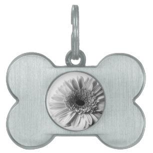 Daisy flower pet tag
