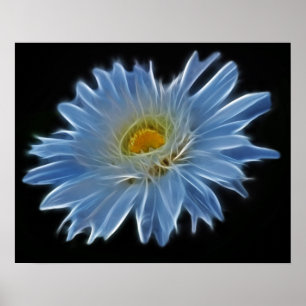 Daisy Flower Poster