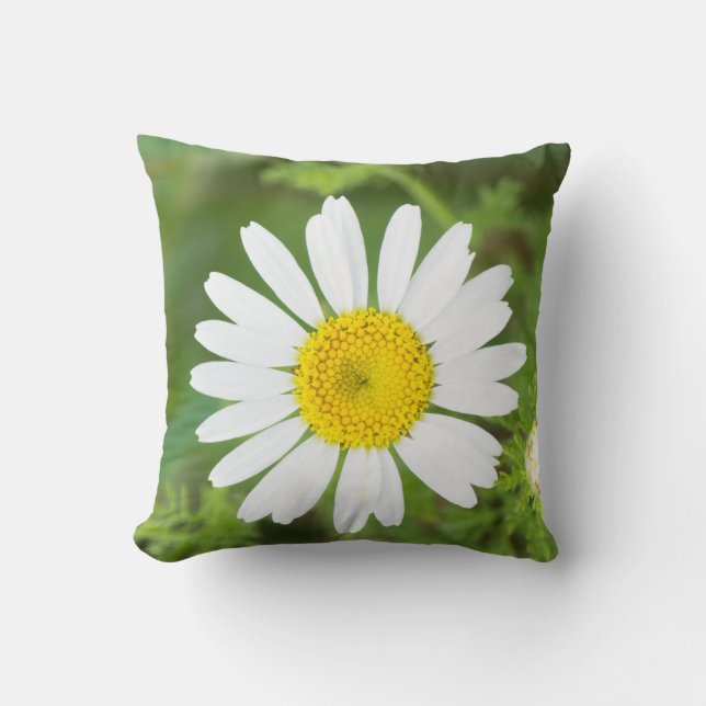 Daisy flower throw pillow (Front)