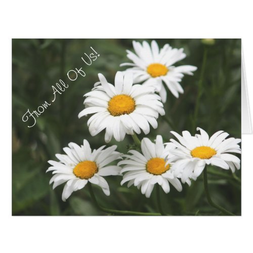 Daisy Flowered Designer