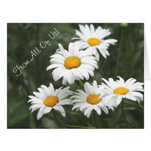 Daisy Flowered Designer Cards