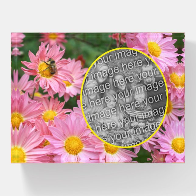 Daisy Flowers And Bumble Bee Add Your Own Photo Paperweight (Front)