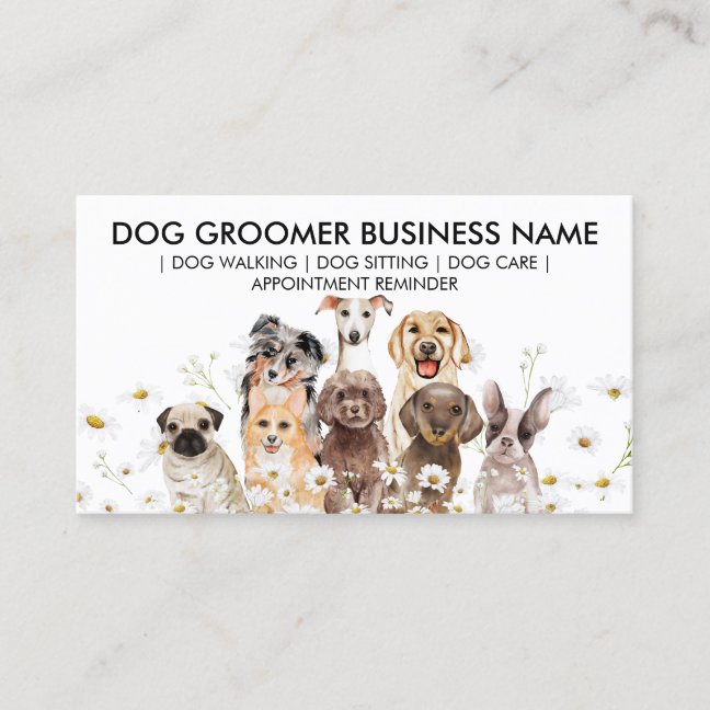 Daisy Flowers Appointment Design for Pet Industry Business Card