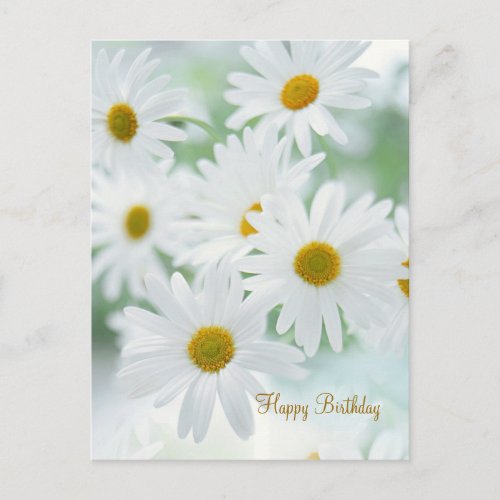 Daisy flowers _ Birthday Postcard