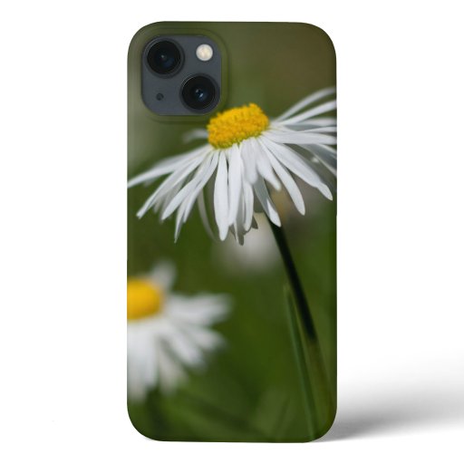 Daisy Flowers iPhone 13 Case
