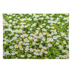 Daisy flowers cloth placemat