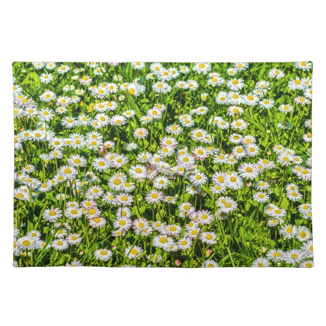 Daisy flowers cloth placemat (Front)