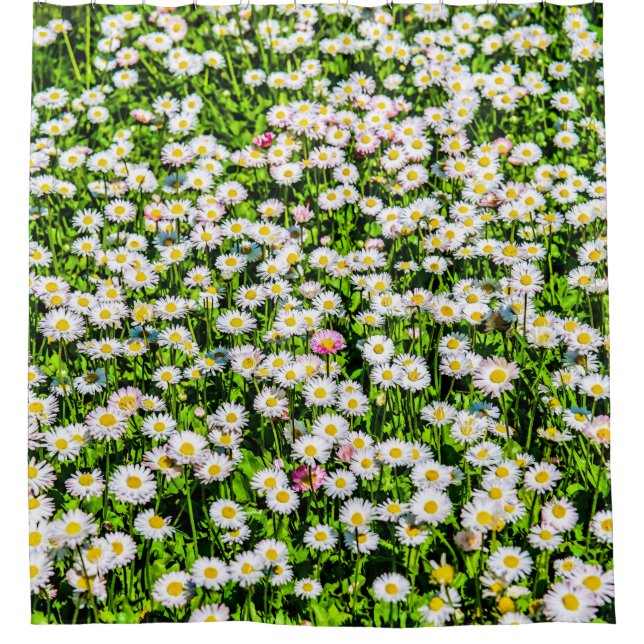 Daisy Flowers Field Shower Curtain (Front)
