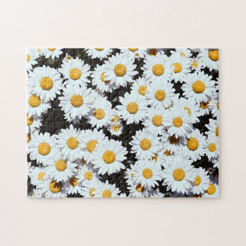 Daisy Flowers Floral Bloom Nature Jigsaw Puzzle