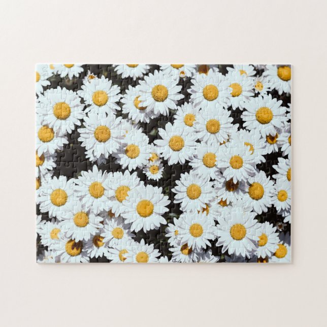 Daisy Flowers Floral Bloom Nature Jigsaw Puzzle (Horizontal)