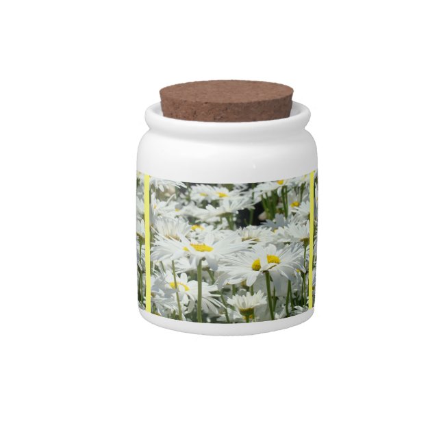 Daisy Flowers Gifts Candy Jars Daisies (Front)