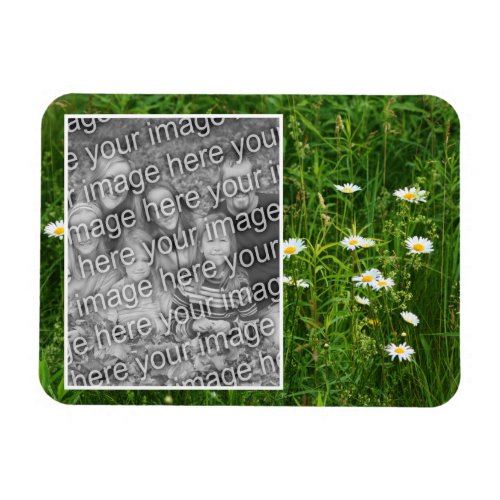 Daisy Flowers In Field Add Your Photo Magnet