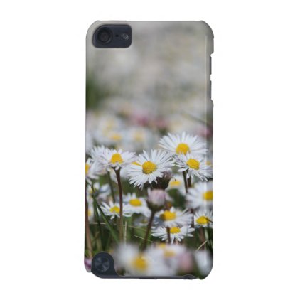 Daisy flowers iPod touch 5G cover