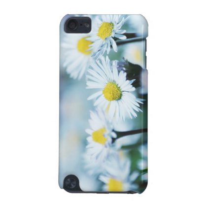 Daisy flowers iPod touch (5th generation) cover