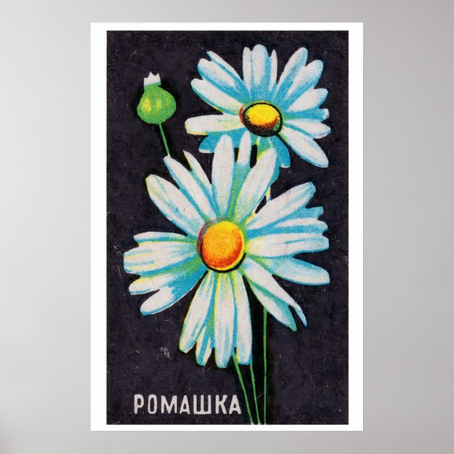 Daisy Flowers - Matchbox Print - Aesthetic Wall (Front)