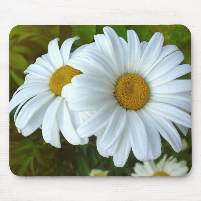 Daisy Flowers Mousepad  Daisy Computer Gifts (Front)