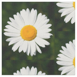 daisy flowers on green pattern fabric
