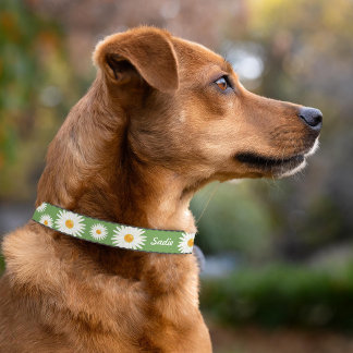 Daisy Flowers On Green With Custom Dog's Name Pet Collar