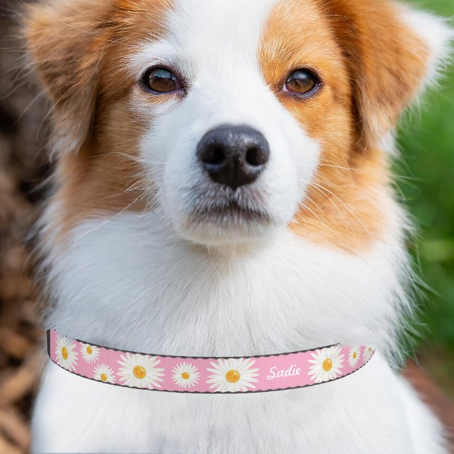 Daisy Flowers On Pink With Personalized Dog's Name Pet Collar (Please note: This image is a digital mockup. The product may not be in scale.)