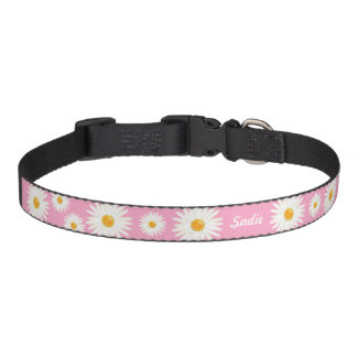 Daisy Flowers On Pink With Personalized Dog's Name Pet Collar