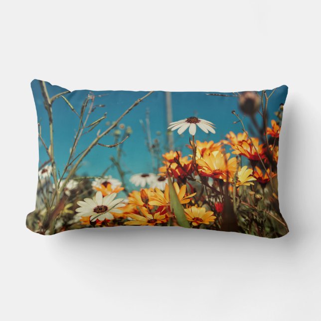 Daisy Flowers Orange Blue Cushion Throw Pillow (Front)