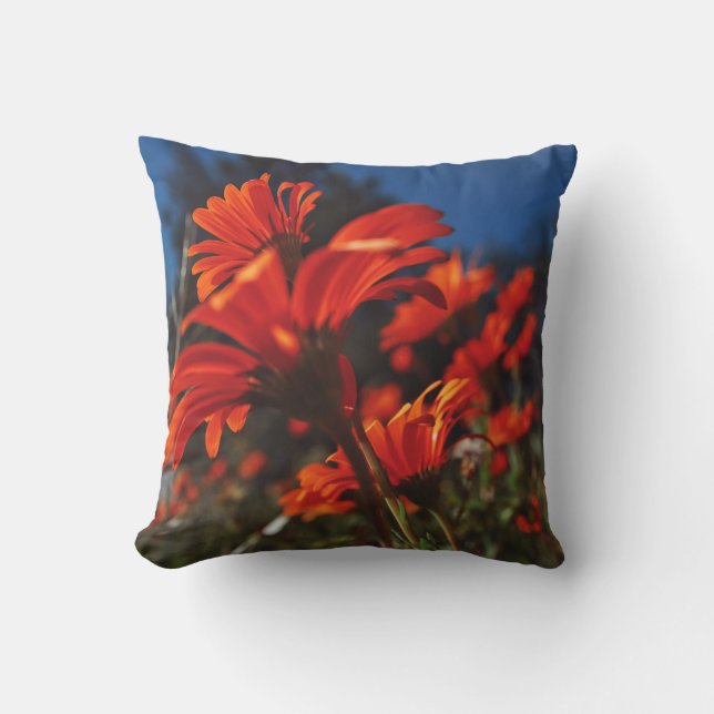 Daisy Flowers Orange Blue Cushion Throw Pillow (Front)
