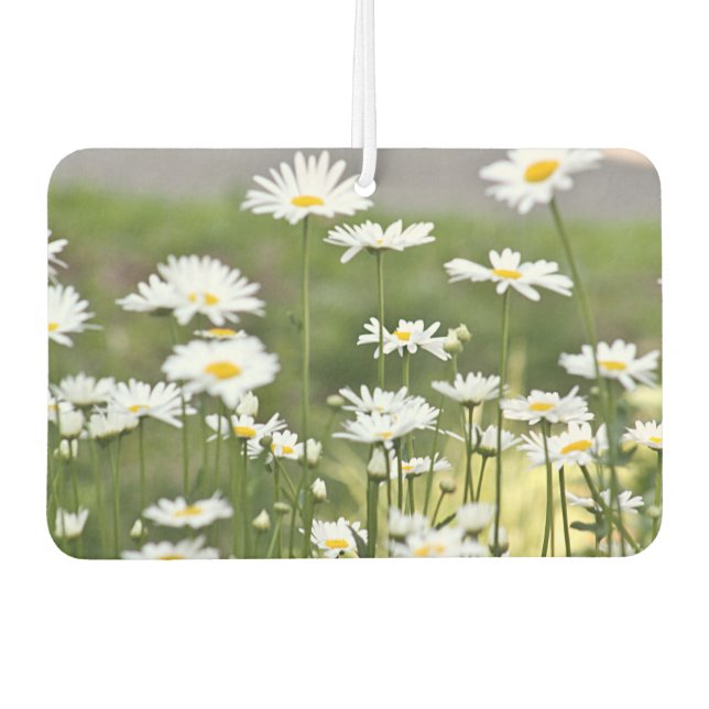 Daisy flowers photo air freshener (Front)