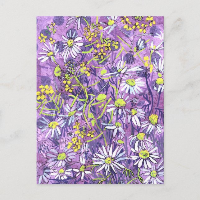 Daisy Flowers Polka Dot Summer Flowers Floral Art Postcard (Front)