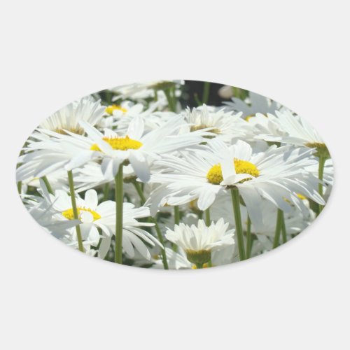 Daisy Flowers stickers seals White Daisy Flowers