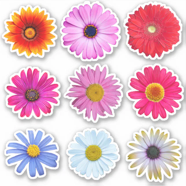 Daisy Flowers Vinyl Sticker | Zazzle