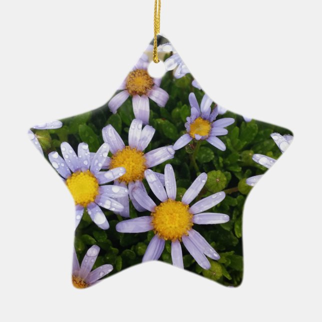 Daisy Flowers, White Yellow Flower, Nature Daisies Ceramic Ornament (Front)