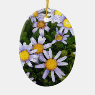 Daisy Flowers, White Yellow Flower, Nature Daisies Ceramic Ornament