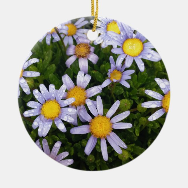 Daisy Flowers, White Yellow Flower, Nature Daisies Ceramic Ornament (Front)