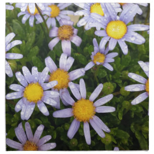 Daisy Flowers, White Yellow Flower, Nature Daisies Cloth Napkin