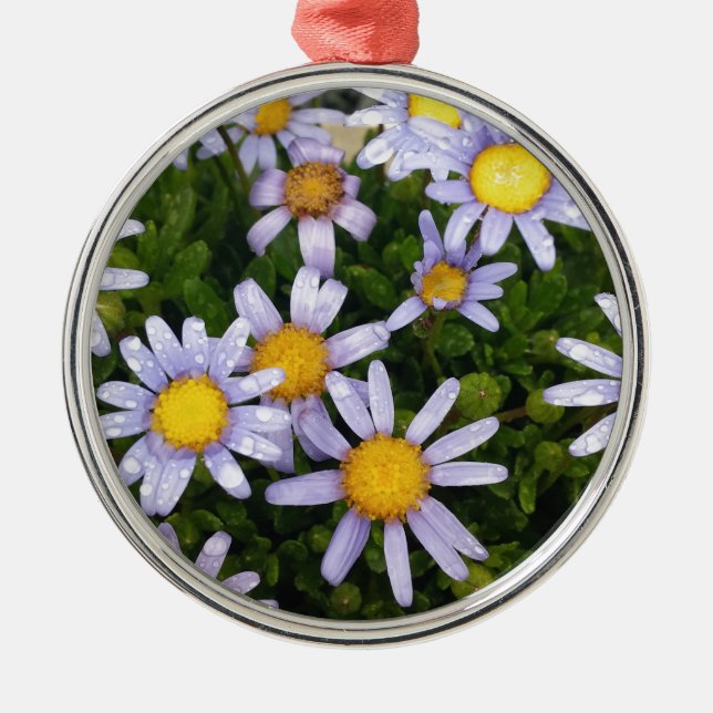 Daisy Flowers, White Yellow Flower, Nature Daisies Metal Ornament (Front)