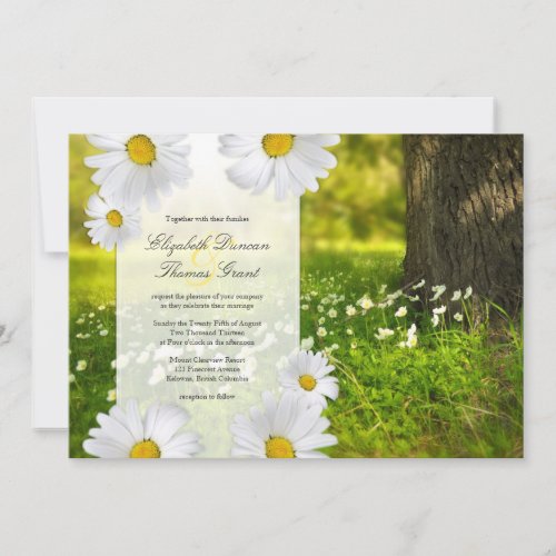 Daisy Frame with Meadow Photo Wedding Invitation