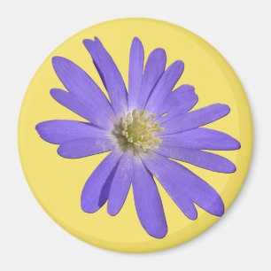 Daisy Fridge Magnet Blue Flower Daisy Gifts