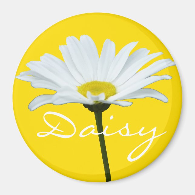Daisy Fridge Magnet Cheerful Flower Daisy Gifts (Front)
