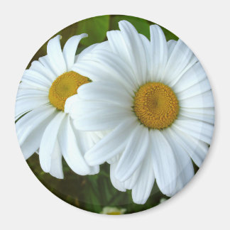 Daisy Fridge Magnet Cheerful Flower Daisy Gifts