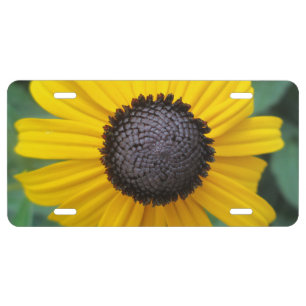 Daisy Garden Flower Gloriosa License Plate