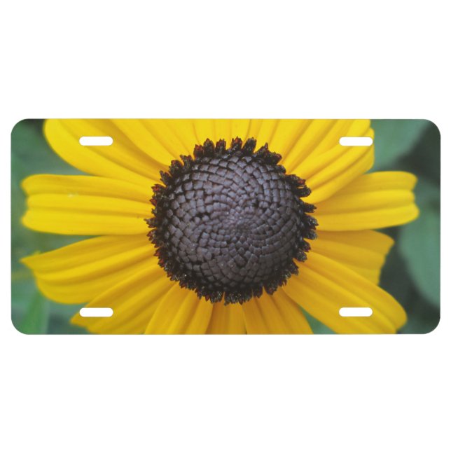Daisy Garden Flower Gloriosa License Plate (Front)
