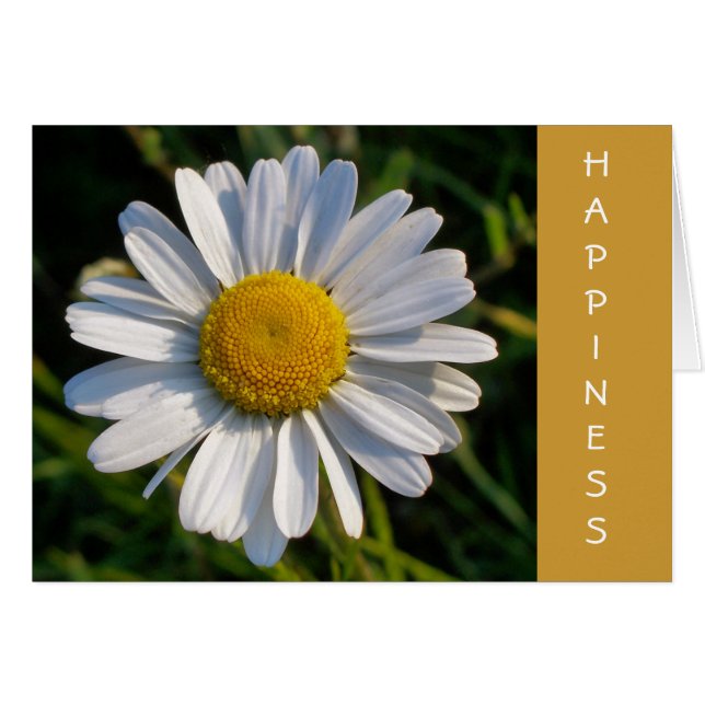 DAISY HAPPINESS card (Front Horizontal)
