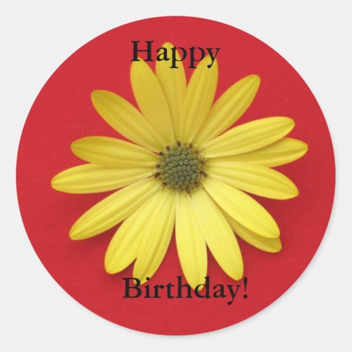 Daisy Happy Birthday Sticker | Zazzle