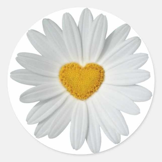 Daisy Heart Classic Round Sticker (Front)