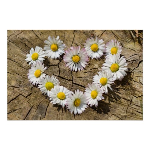 Daisy Heart Poster