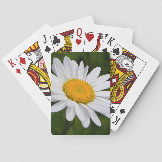 Daisy in Bloom Poker Cards (Back)