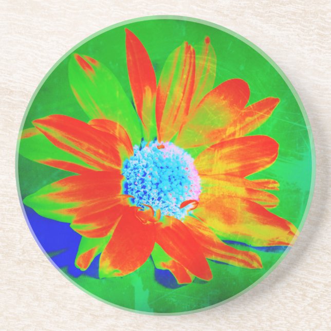 Daisy in Infrared Sandstone Coaster (Front)