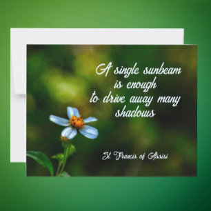 Daisy in Shadows St Francis of Assisi Quote Note Card