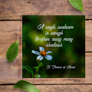 Daisy in Shadows St Francis of Assisi Quote Paperweight